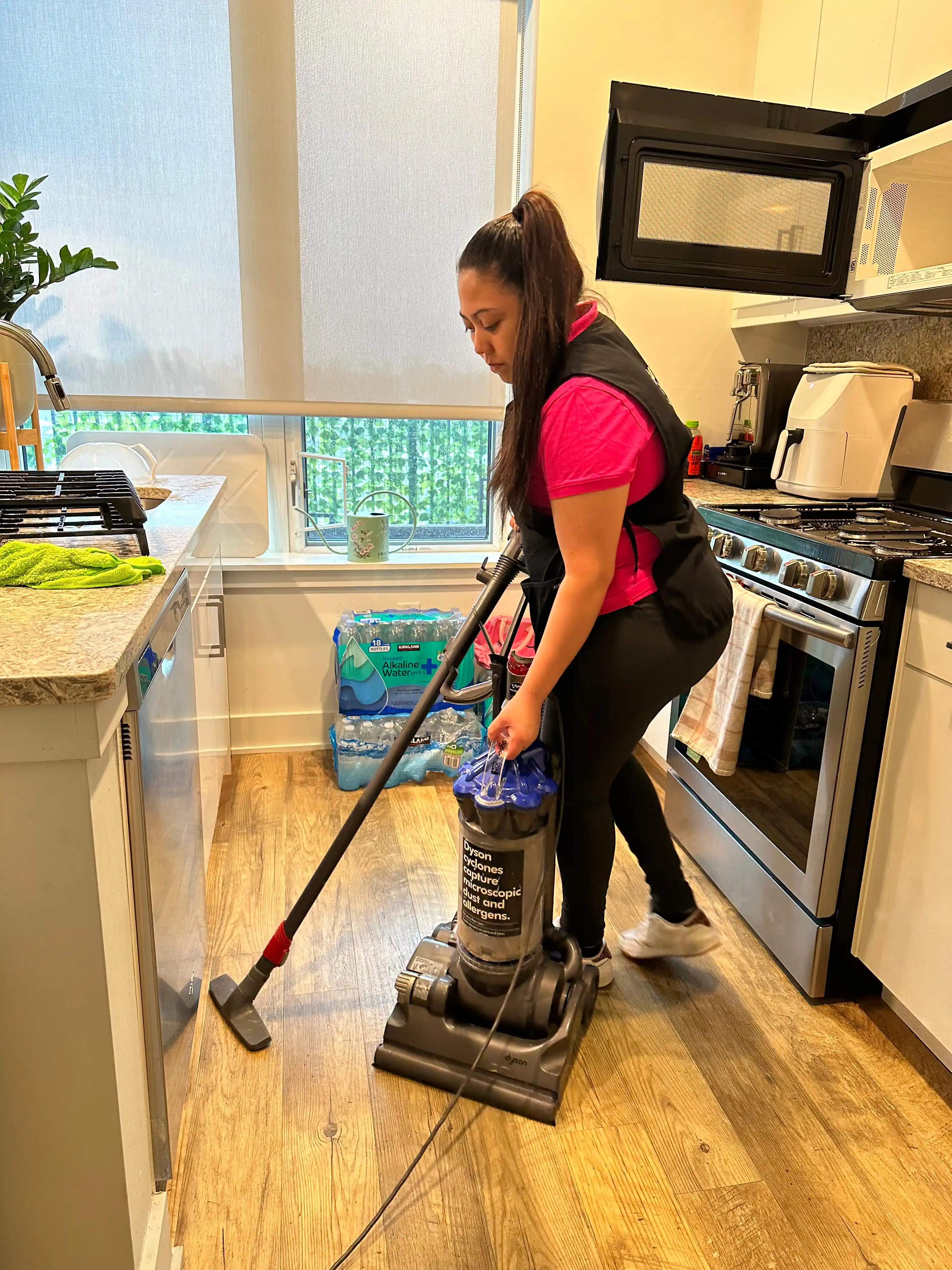 Kitchen cleaning